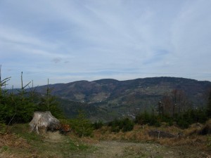 W drodze na Skrzyczne (Beskid Śląski)