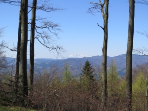 Majowy Beskid Sądecki