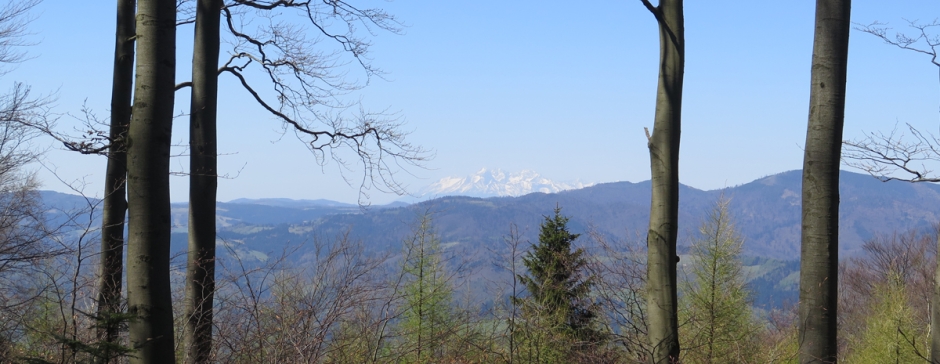 Majowy Beskid Sądecki