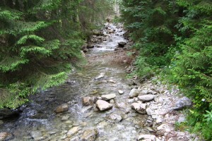 Tatry wspomnienia z lat 2009-2013 część 1