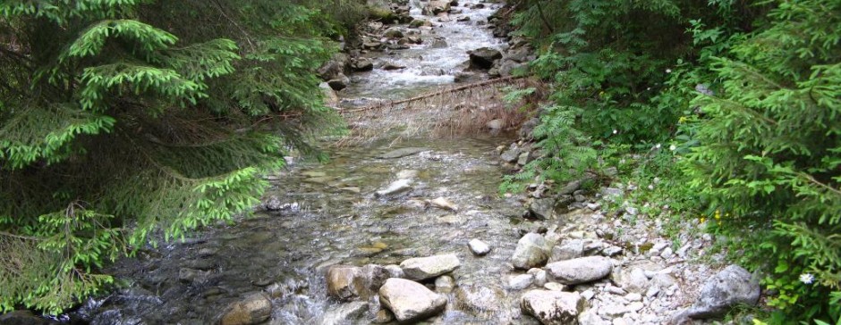 Tatry wspomnienia z lat 2009-2013 część 1