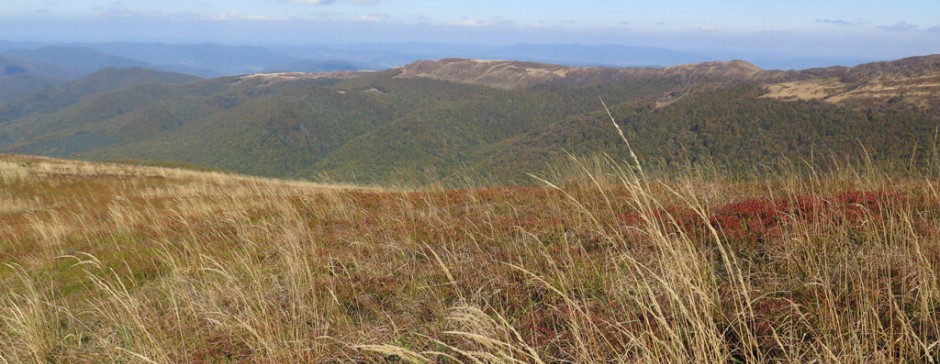 Jesienne Bieszczady