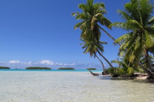 Rangiroa Polinezja Francuska