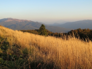 Bieszczady