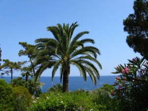 Jardi Botanic Marimurtra - Blanes