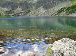 Czarny Staw Gąsienicowy