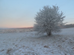 Wschód Słońca w okolicy Kluszkowców