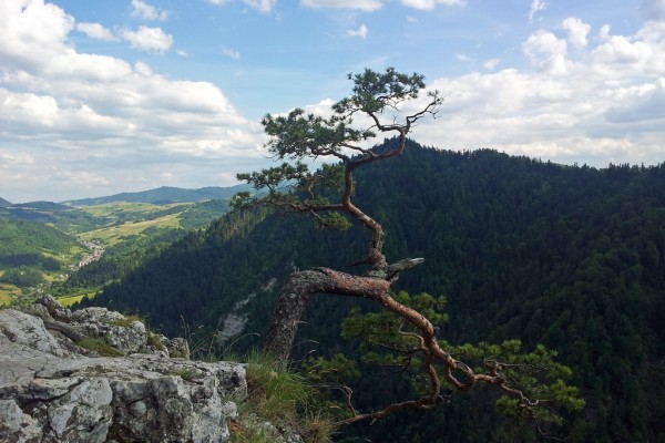 Sokolica - Pieniny