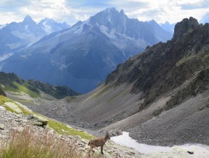 Widok z podejścia na Col de la Glière 