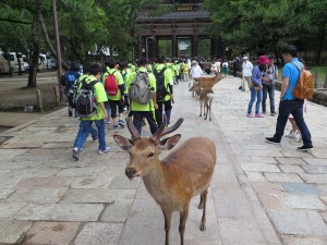 Nara