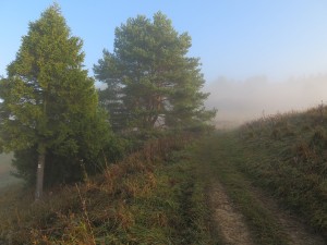 Słowacka część Pienin