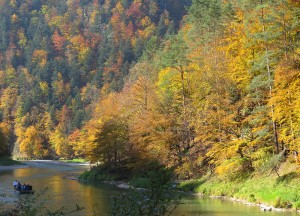 Dunajec - okolice Szczawnicy