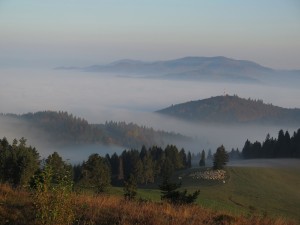 Pienińskie mgły o poranku, widok na Jarmutę