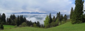 Widok na Tatry ze szlaku z Przełęczy Osice na Przełęcz Trzy Kopce