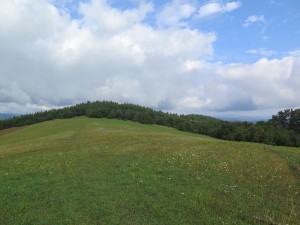 Widok na Grzywacką Górę