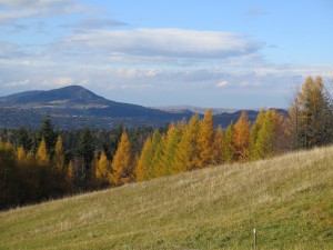 Widok z podejścia na Jaworze z Grybowa