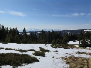 Widok na Tatry z Gorca Troszackiego