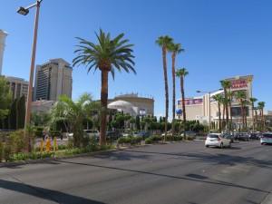 The Strip