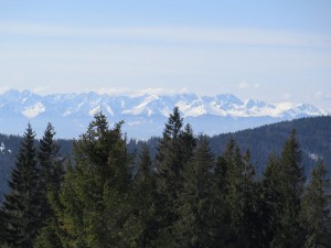 Tatry z Gorca Troszackiego