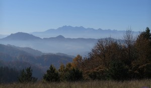 Widok na Tatry ze szlaku na Koziarz z Krościenka