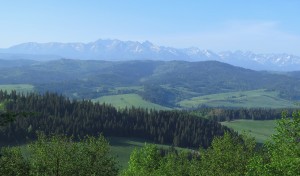 Widok na Tatry z okolic Żaru