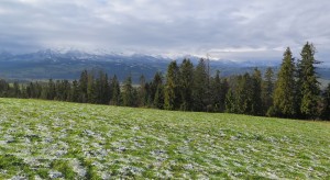 Widok z Pawlikowskiego Wierchu