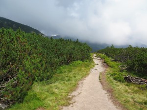 W drodze nad Biale Pleso