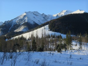 Widok na Rusinową Polanę