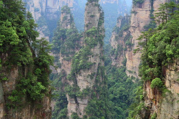 Zhangjiajie National Forest Park - Chiny