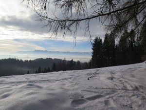 Okolice Przełęczy Knurowskiej