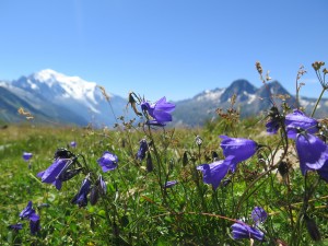 Okolice Col de Balme