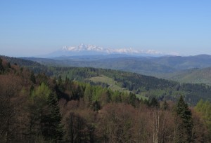 Widok spod Bacówki nad Wierchomlą