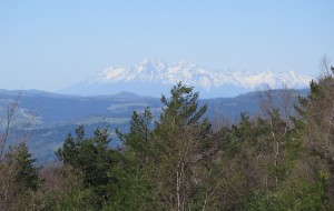 Widok na Tatry ze szlaku - okolice Zadnich Gór