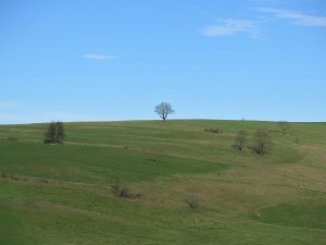 Podejście pod Swarne (nad Mochnaczką Niżną)