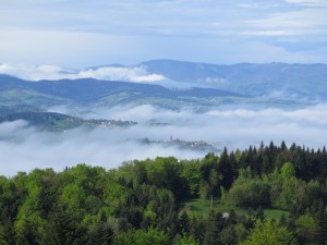 Widok z Jodłowej Góry