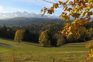 Przełęcz nad Łapszanką