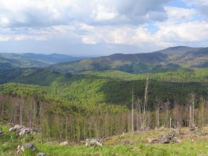 Widok na Mosorny Groń