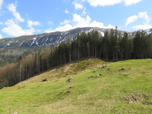 Widok na Babią Górę