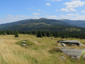 Widok w kierunku Przełęczy Karkonoskiej