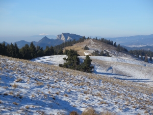 Widok na Wysoki Wierch i Trzy Korony