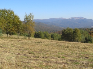 Widok na masyw Tarnicy