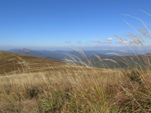 Bieszczady - podejście na Tarnicę (w tle Połonina Caryńska)