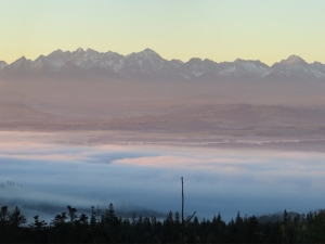 Widok z Łapsowej Polany na Tatry