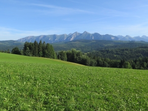 Przełęcz nad Łapszanką czerwiec