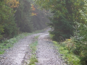 Na szlaku Łapsze Niżne - Przełęcz nad Łapszanką