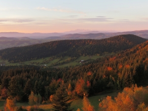 Widok z wieży widokowej na Jaworzu