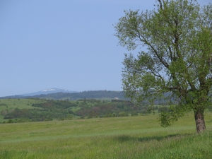 W kierunku Babiej Góry