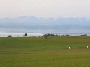 Widok z Bukowińskiego Wierchu