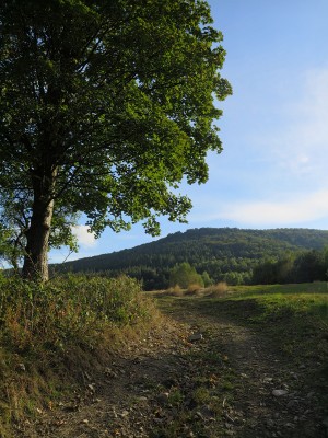 Okolice Bielicznej