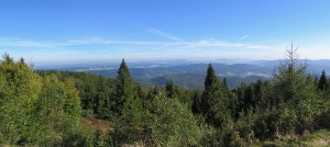 Widok z Jaworzyny Krynickiej na Beskid Niski